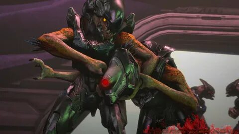 Jackals - Kig-Yar on Halo-SFM - DeviantArt