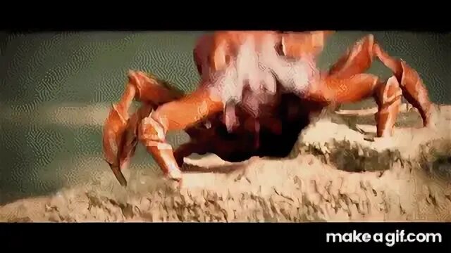 Crab Rave Video Download posted by Christopher Thompson