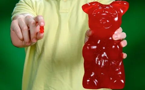 Pictures of the day: 12 June 2012 Best gummy bears, Gummy be