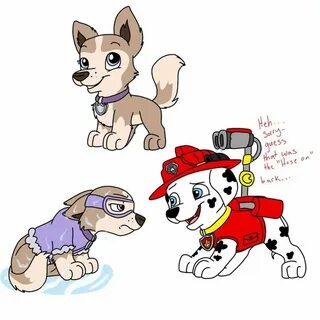 This is a great drawing it made me giggle. Paw patrol, Paw, 