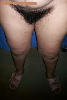 Mexican Hairy Amateur Pics pict gal 42517148