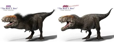 how you think t rex look like? Fandom