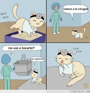 dr.gato - Meme by mininegro11 :) Memedroid