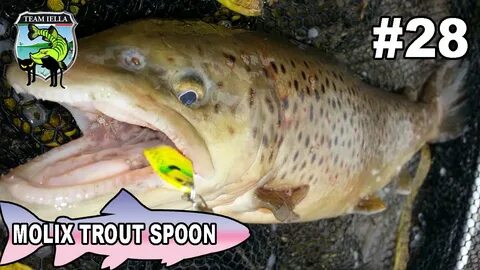 Trota Spinning Laghetto con Molix Trout Spoon - YouTube