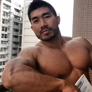 Log in Asian muscle men, Asian men, Bodybuilding