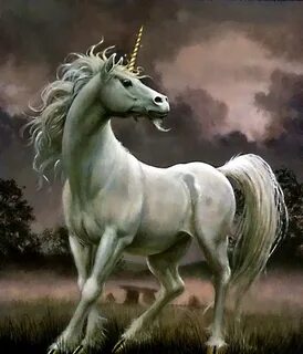 Artist and Illustrator Don Maitz Unicorn pictures, Unicorn f