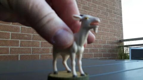 Yelling goat toy - YouTube