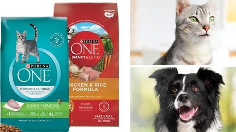 Free Purina One Dog or Cat Food :: Southern Savers