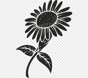 Graphics Common sunflower, flower, leaf, sunflower png PNGEg