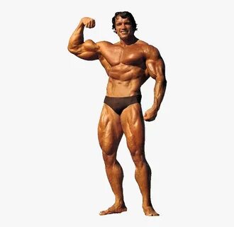 Arnold Png - Arnold Schwarzenegger Bodybuilding Png, Transpa