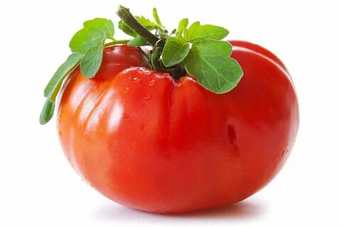 Buy Goliath Tomato Seed in Cheap Price on m.alibaba.com