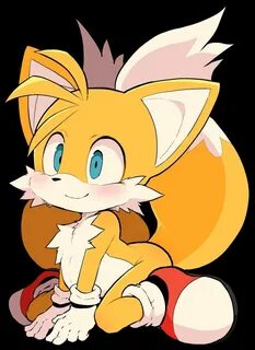 Miles "Tails" Prower Sonic fan characters, Sonic and shadow,