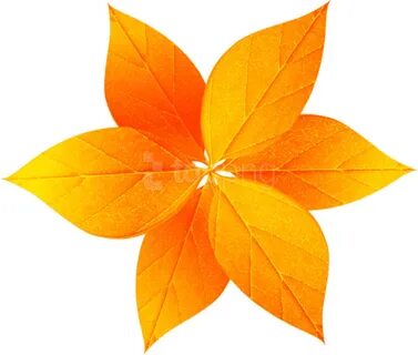 Free Png Download Fall Leaves Decoration Clipart Png - Maple