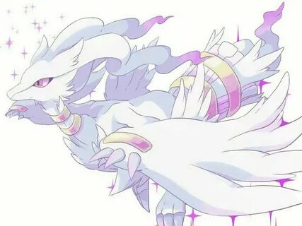 Reshiram Pokemon pictures, Cute pokemon pictures, Pokemon ar