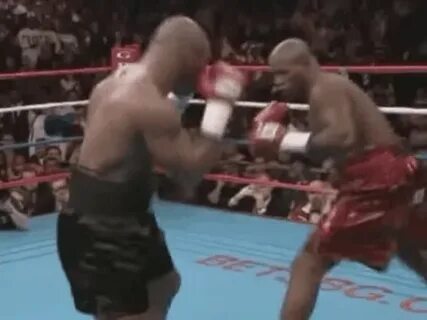 Mike tyson GIF on GIFER - by Windsong