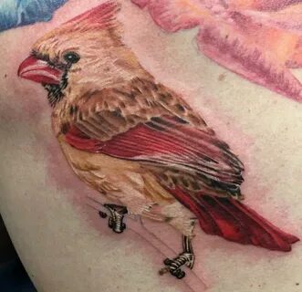 Watercolor Cardinal Tattoo - best tattoo ideas