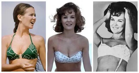 42 Shelley Fabares Nude Pictures Can Make You Submit To Her 