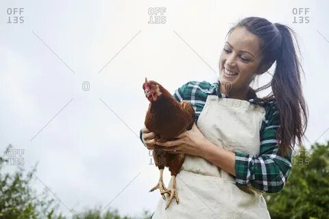 poultry farming stock photos - OFFSET