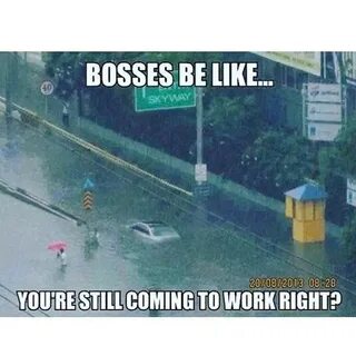 #flood #badboss #survival #funnymemes #lol #memes #memesdail