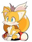 Pin by Kevin Kamins on Sonic Sonic fan characters, Furry art