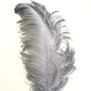 Ostrich Wing Feathers For Sale - Wholesale Prices - Shop Onl
