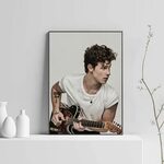Shawn Mendes Poster Canvas Shawn Mendes Print Canvas Print E