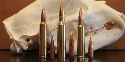 300 Win Mag vs 338 Lapua vs 338 Win Mag: Picking The Right H