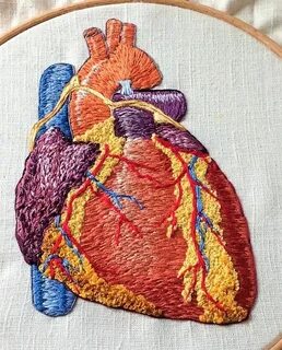 Each anatomical embroidery I do is on an 8 or 9 inch embroid