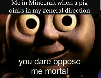 me in minecraft when a pig oinks in my general direction You