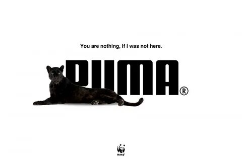 Adeevee Only selected creativity - WWF: Shell, Puma, Twitter