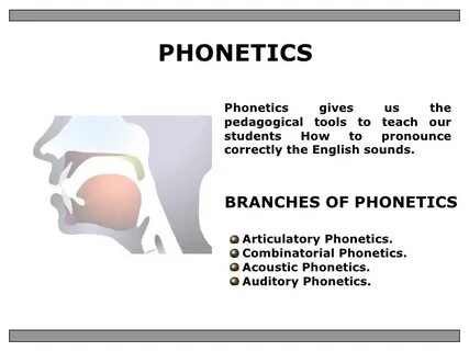 Speech Phonetics - Floss Papers