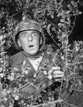Jim Nabors as Gomer Pyle - Sitcoms Online Photo Galleries