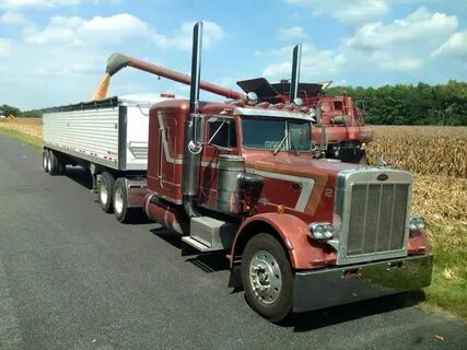 Pin by Mike Vint on Peterbilt 359 Peterbilt 359, Trucks, Pet