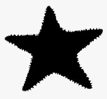 Starfish Silhouette Png - Macy's North Star Strategy, Transp