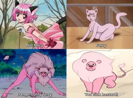 From anime to furry Furry Scale Know Your Meme
