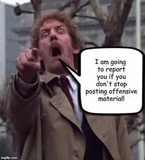 invasion of the body snatchers donald sutherland Memes & GIF