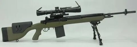 M14 Weaponsystems.net