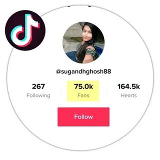 Buy Real Tik Tok (Musical.ly) Fans Followers Get Cheapest Se