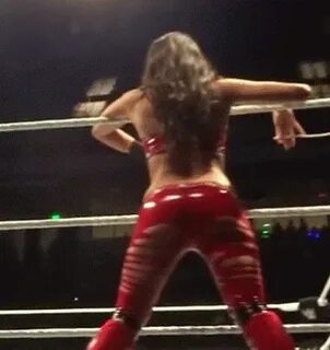 Pin on Brie bella