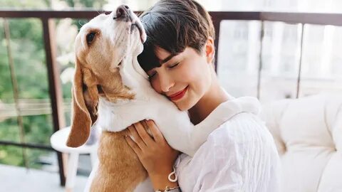 Ten Tips for Taking Care of Your Dog - Metkix