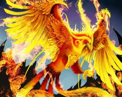 Pin by Alik Prokopev on Феникс Phoenix bird, Phoenix wallpap