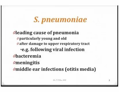 Mnemonic for Streptococcus pneumoniae Streptococcus pneumoni