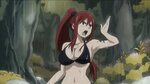 Anime Feet: Fairy Tail: Erza Scarlet collection