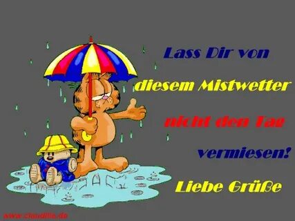 Gästebuch von christianeadler - dogSpot.de Video Regen bilde