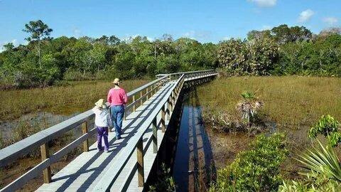 How I came to support Everglades restoration Miami Herald