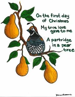 partridge in a pear tree Bird 164 - Partridge in a Pear Tree