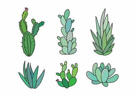 Set of Succulents and Cactus Succulents drawing, Cactus outl