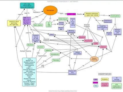 Concept Map Maker Nursing - Map Of Western Hemisphere