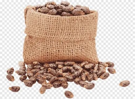 Brown nuts in bag, Castor oil Ricinus Carrier oil Seed, blac