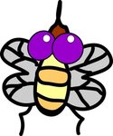 Fly clipart insect, Picture #1130878 fly clipart insect
